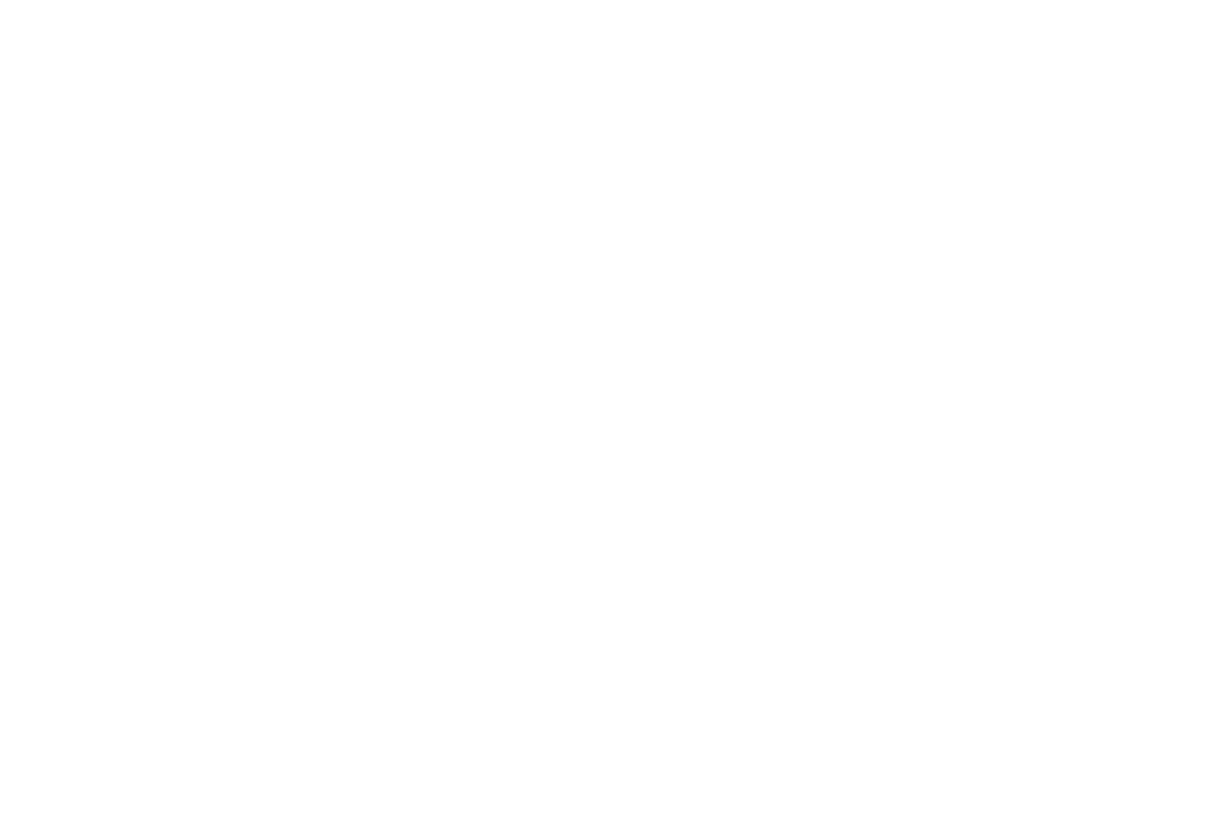 OFFICIAL SELECTION - FESTPRO Film Festival - 2021