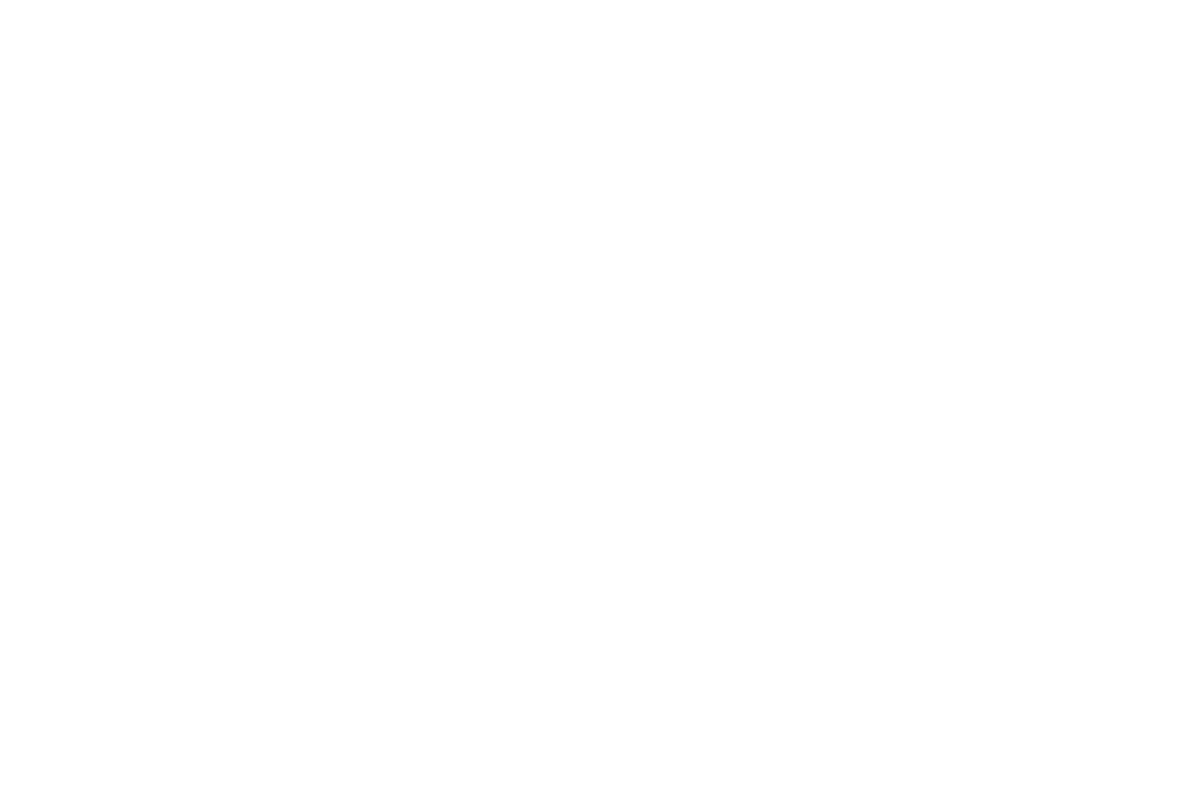 OFFICIAL SELECTION - - ISAFF - 2021