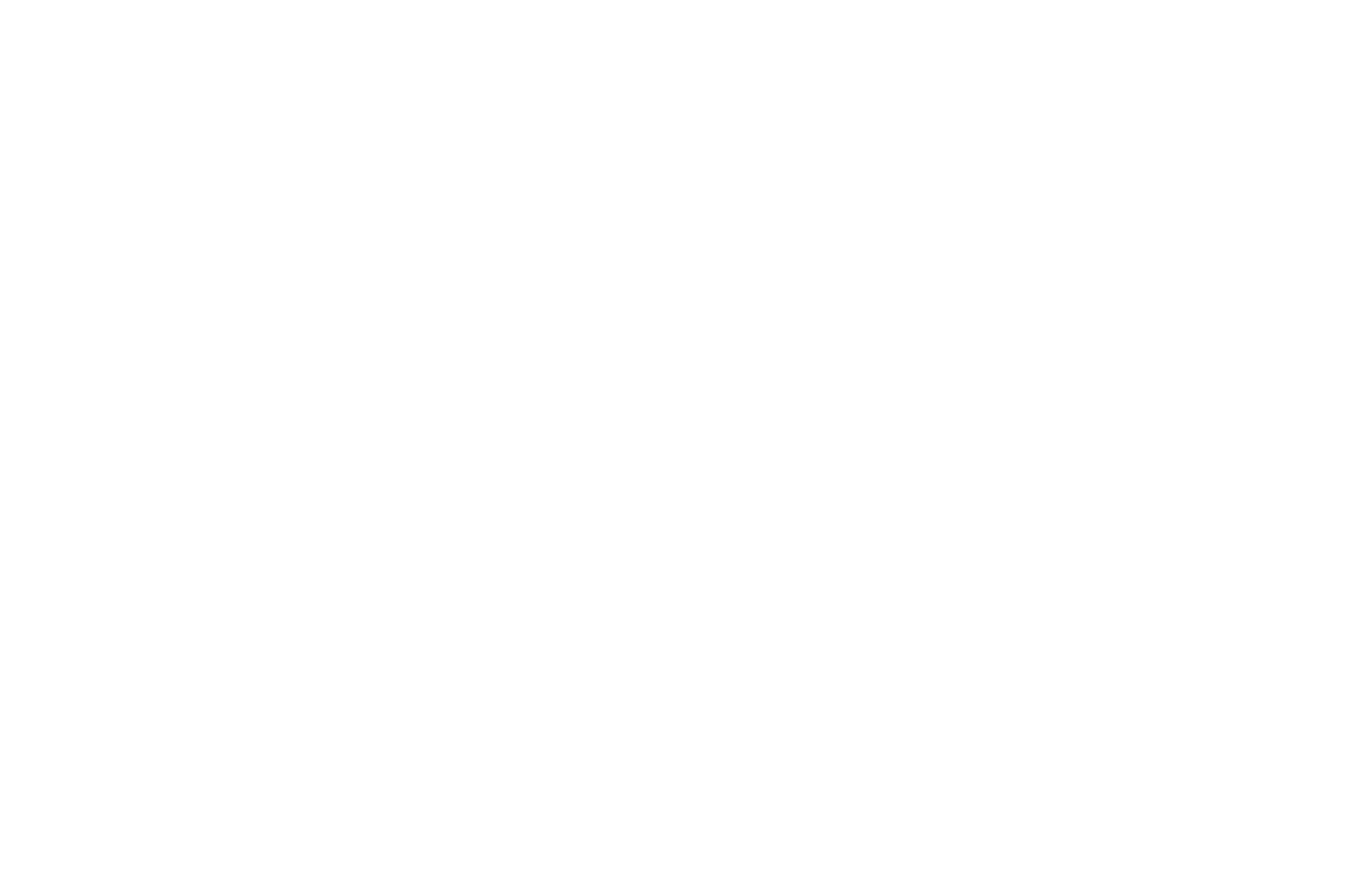 OFFICIAL SELECTION - Kosice International Film Festival - 2021