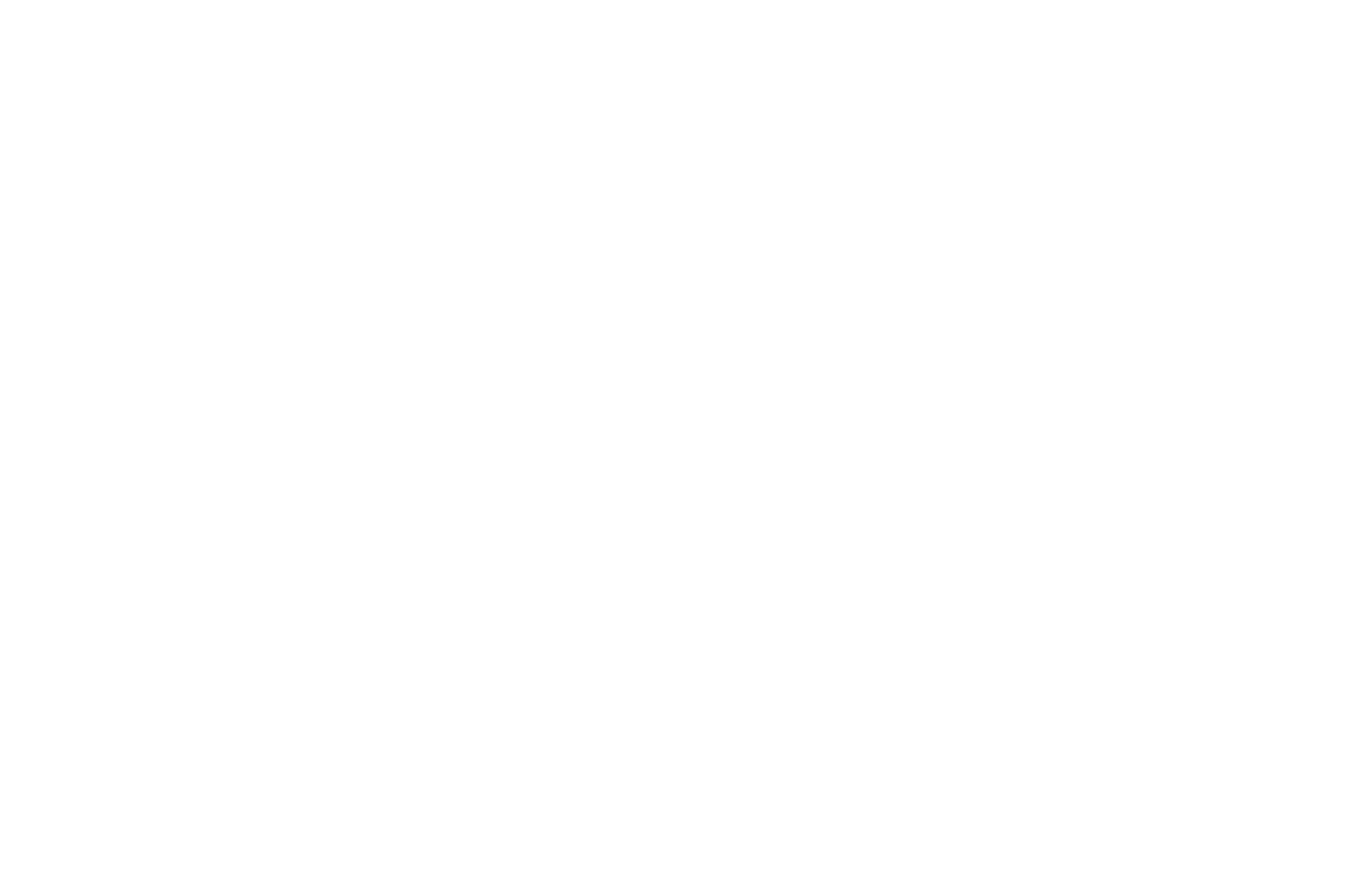 OFFICIAL SELECTION - Madrid Film Awards - 2021