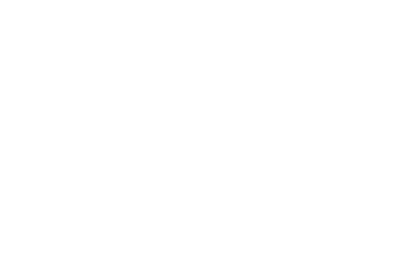 OFFICIAL SELECTION - Prague International Film Awards - 2021